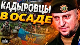 Грызня в России! Зетники сцепились с кадыровцами — Алаудинову пришлось извиниться