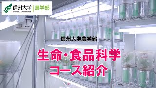 【農学部/2025年4月 コース再編】生命・食品科学コース