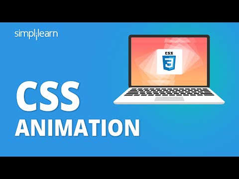 Everything You Need to Know About CSS Animation