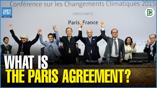 What Is The Paris Agreement? | Dawn News English