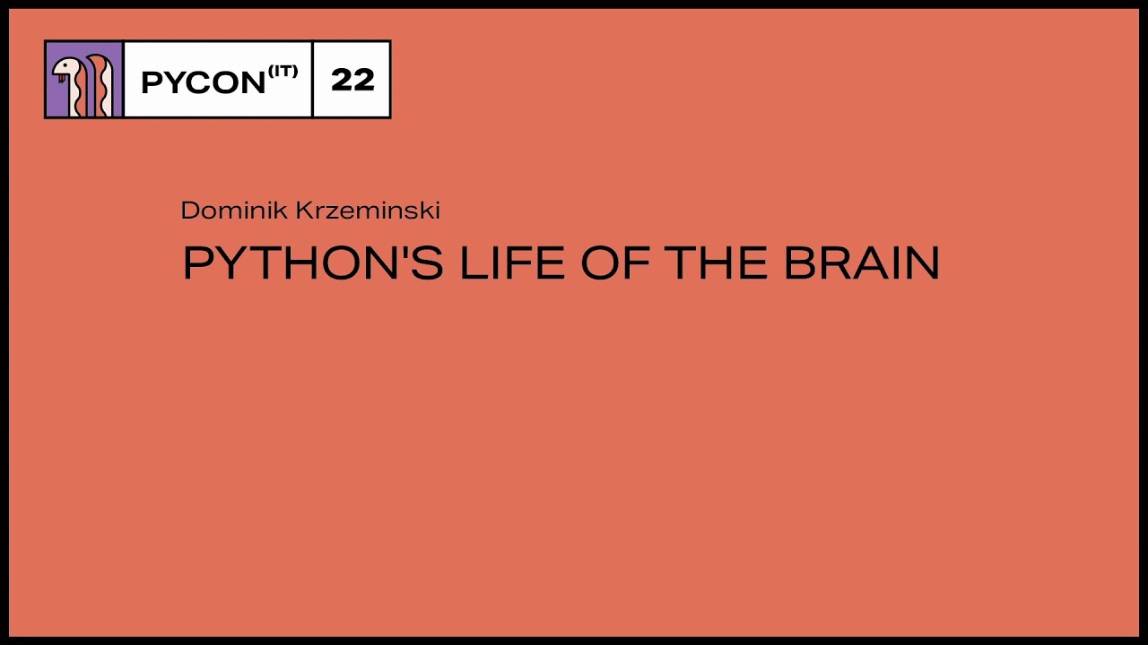 Image from Python's Life of the Brain