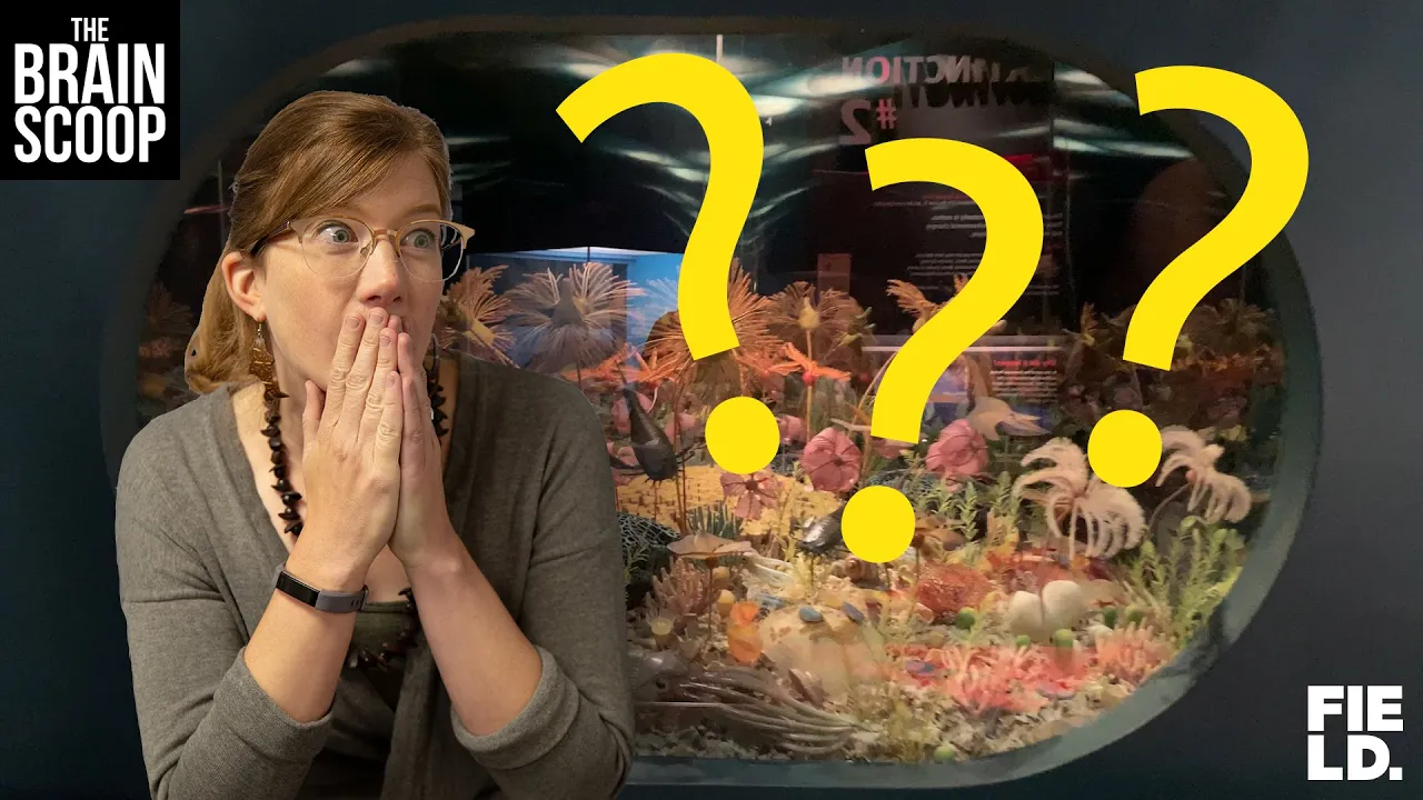 My favorite diorama hidden secret!