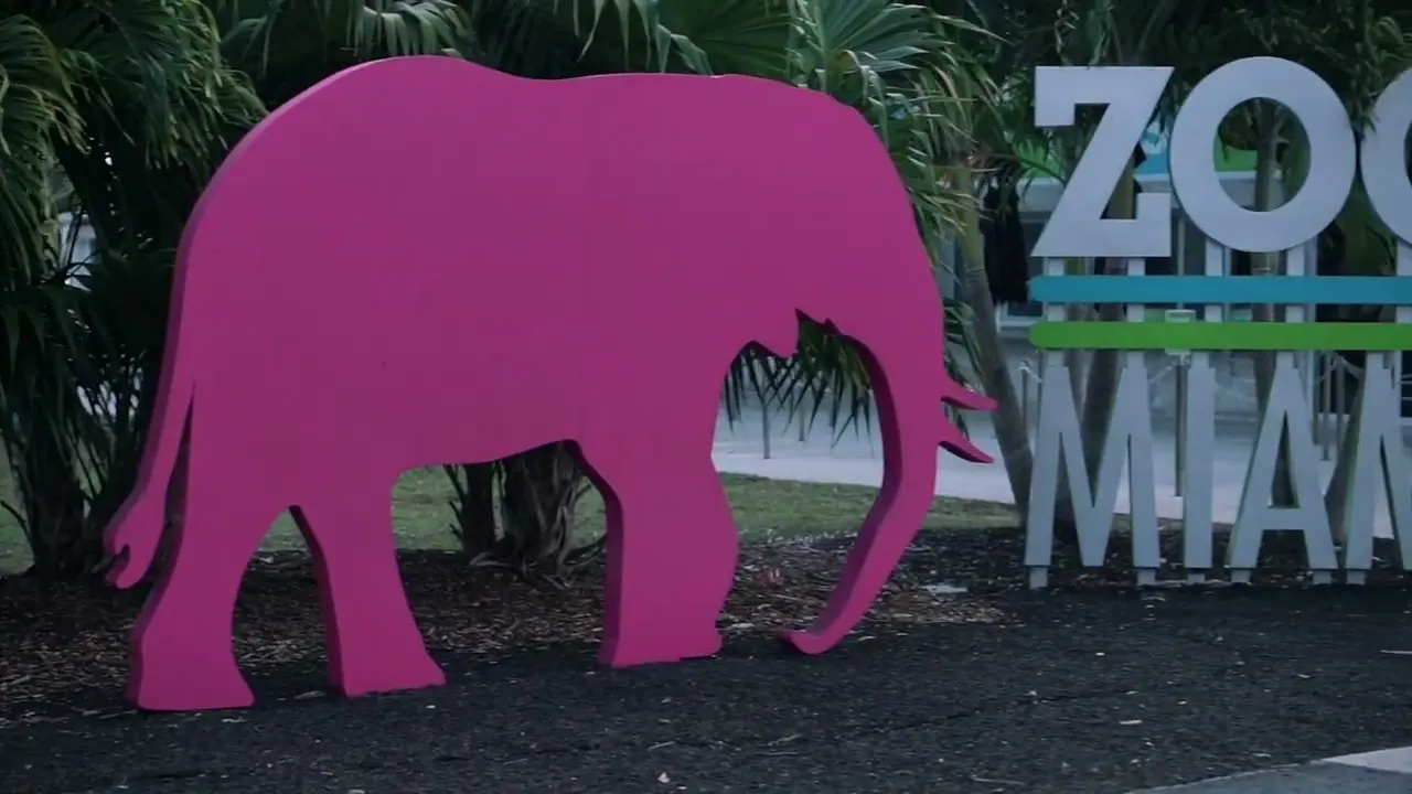 Family-friendly Activities in Greater Miami & Miami Beach